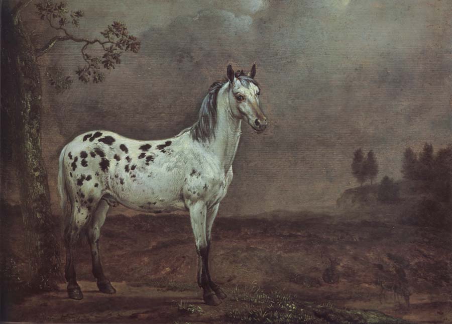 A geschecktes horse